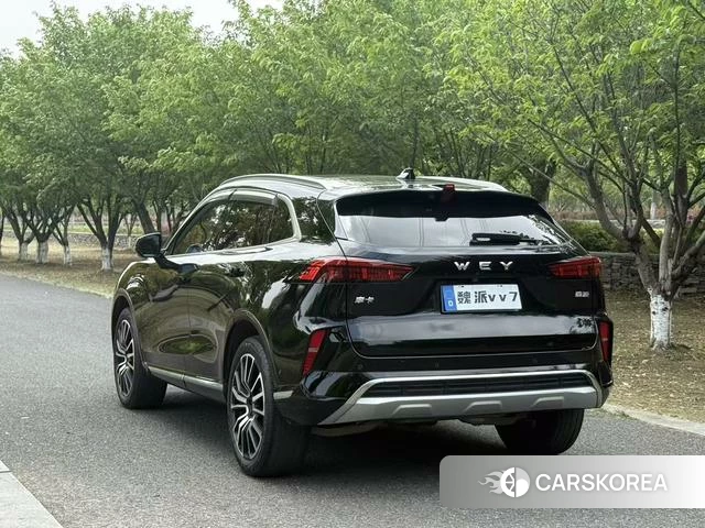 Wei Pai Mocha 2021 Черный из Китая