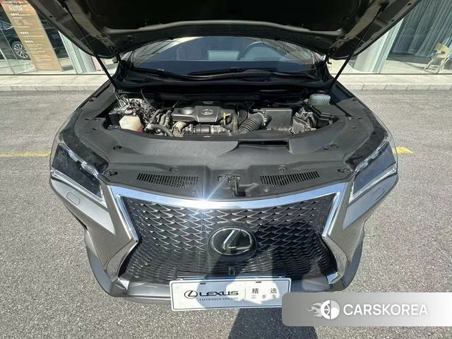 Lexus RX 2019 Серебристо-серый из Китая