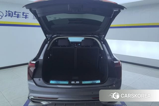 Red flag E-HS9 2023 Темно-серый из Китая