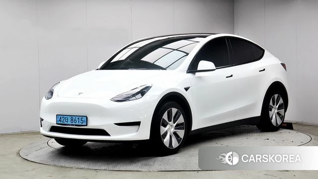 Tesla Model Y 2023 Белый из Кореи