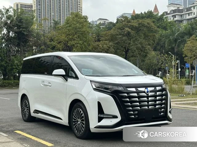 Denza D9 DM 2023 Белый из Китая
