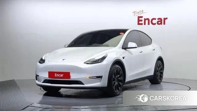 Tesla Model Y 2021 Белый из Кореи
