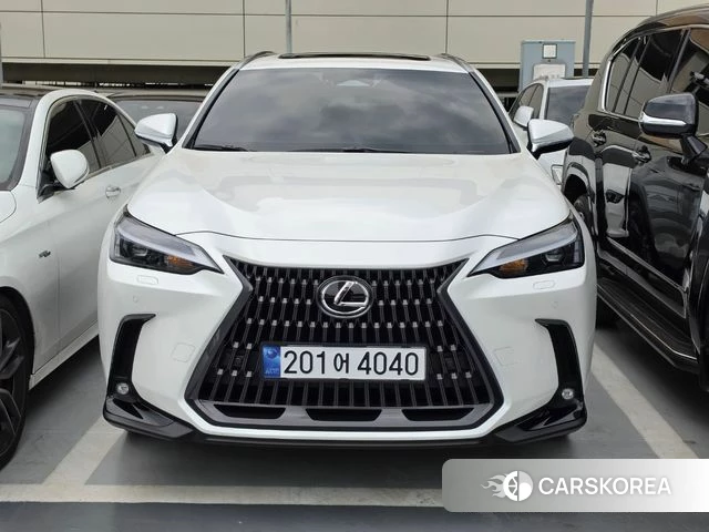 Lexus NX350h Second generation 2025 Белый из Кореи