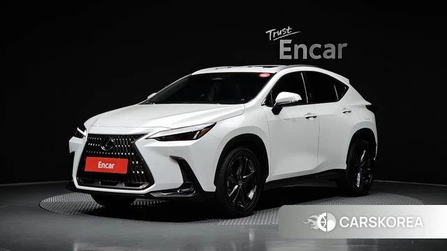 Lexus NX350h Second generation 2025 Белый из Кореи