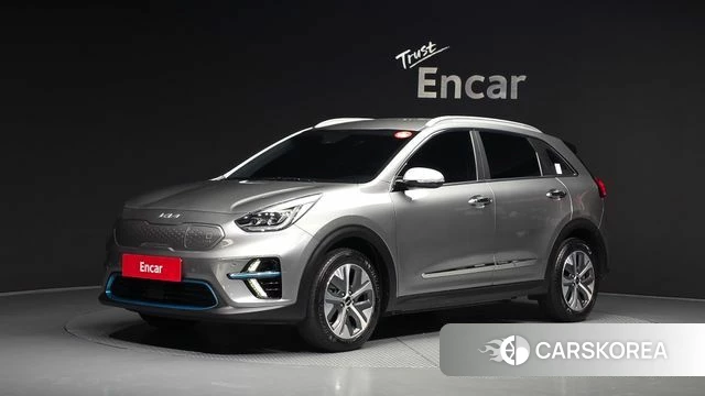 Kia Niro EV 2021 Серый из Кореи