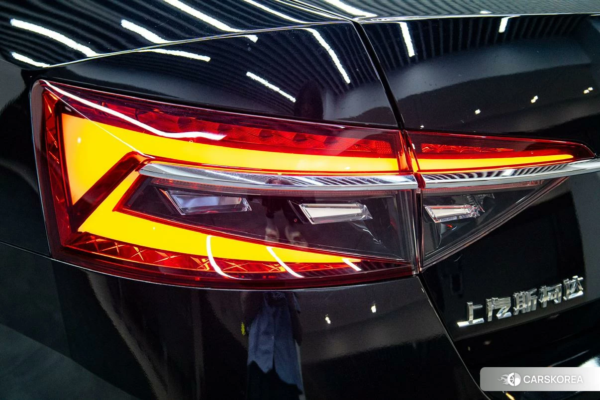 Skoda Speed pie 2023 Черный из Китая