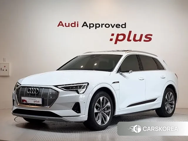 Audi e-Tron 2023 Белый из Кореи