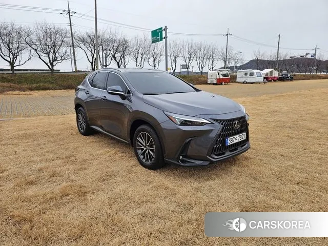 Lexus NX450h + 2nd generation 2023 Серый из Кореи