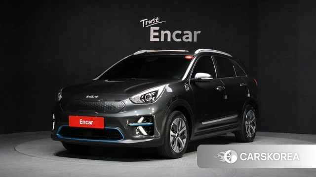 Kia Niro EV 2021 Серый из Кореи