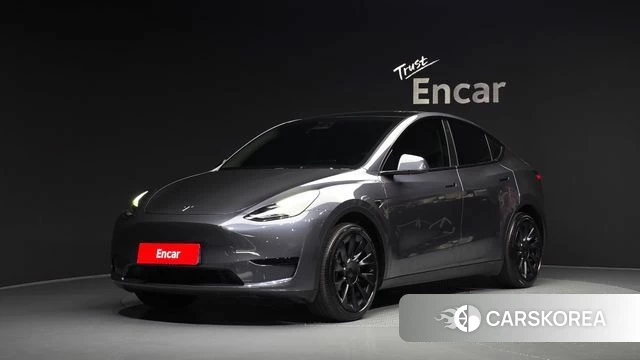 Tesla Model Y 2023 Серый из Кореи