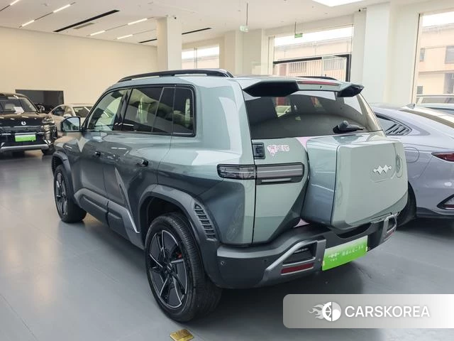 Leopard Titanium 3 2025 Зеленый из Китая