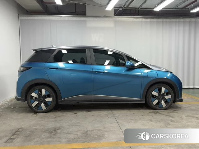 BYD dolphin 2022 Другой из Китая