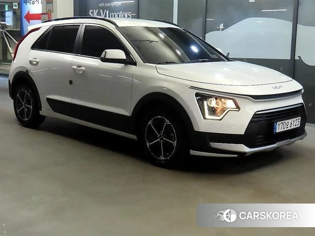 Kia Di Ol Nu Niro 2022 Белый из Кореи