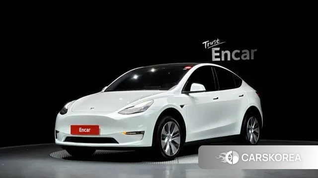 Tesla Model Y 2021 Белый из Кореи