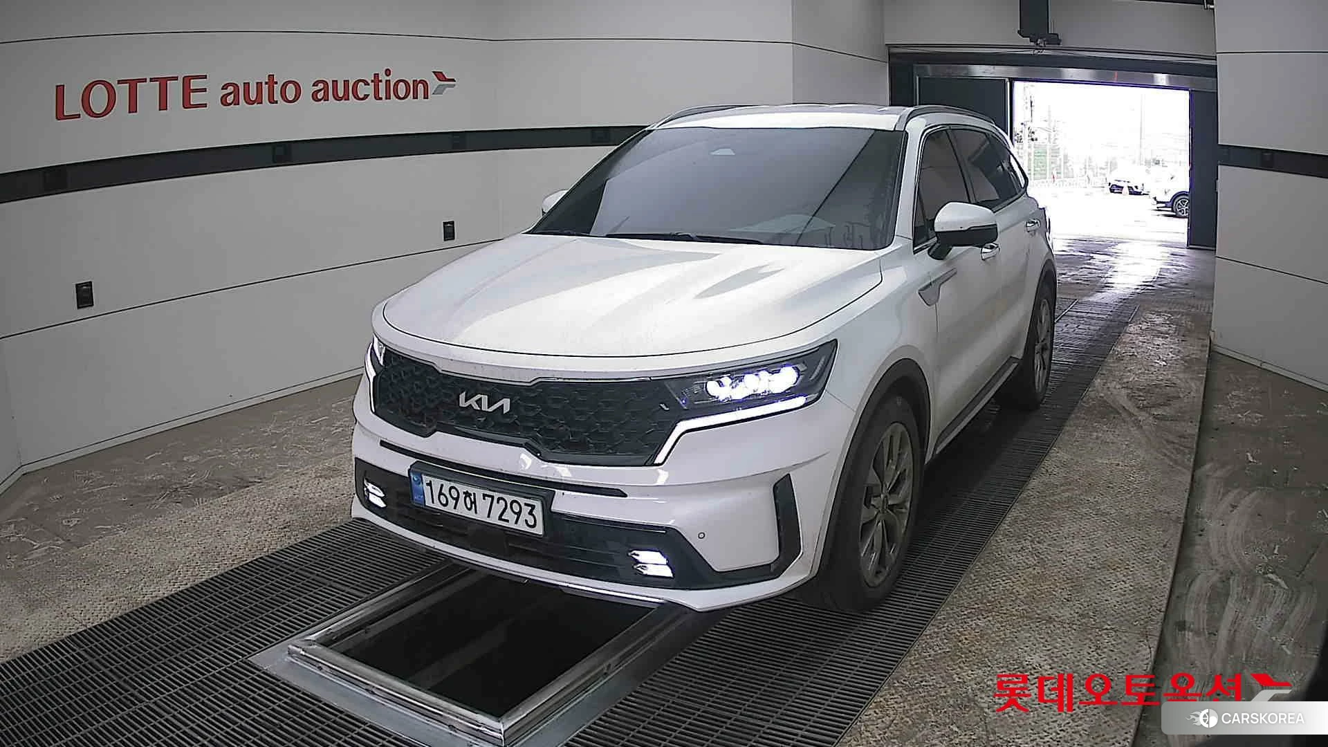 Kia Sorento 2022 Snow White Pearl (optional) из Кореи