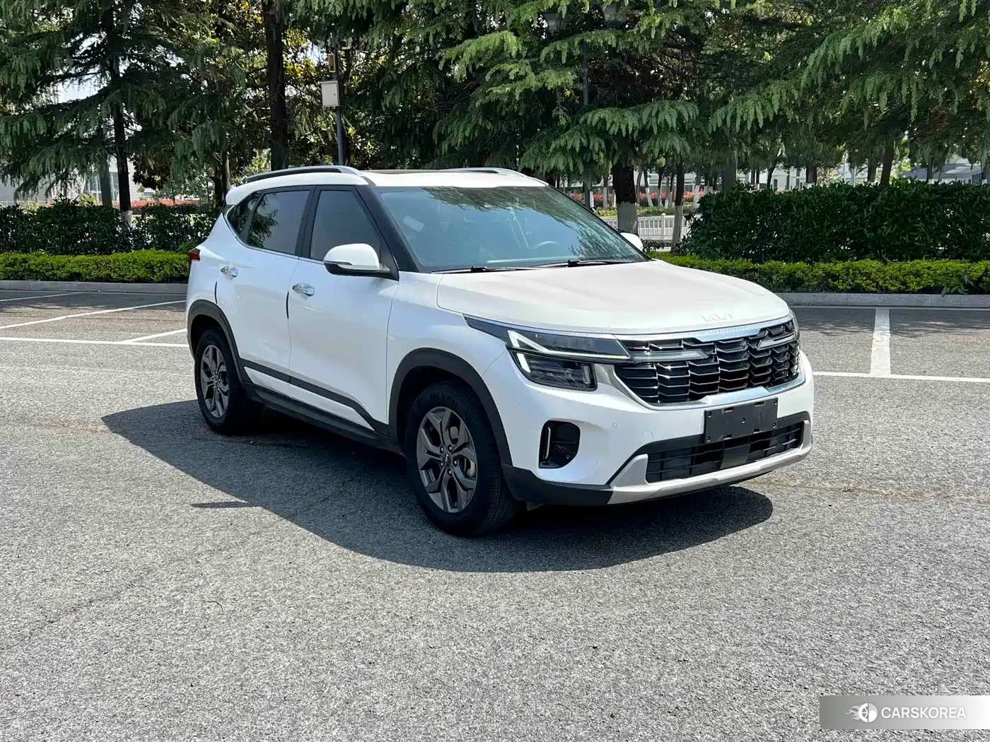 Kia Seltos 2024 Белый из Китая