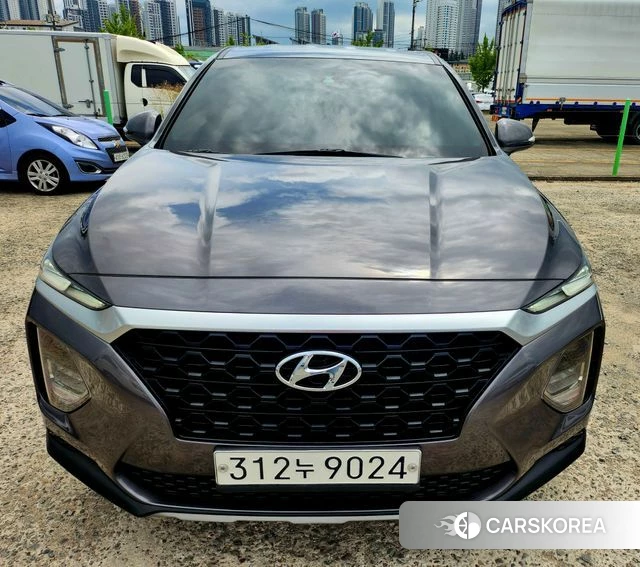 Hyundai Santa Fe TM 2019 Цвет тростника из Кореи