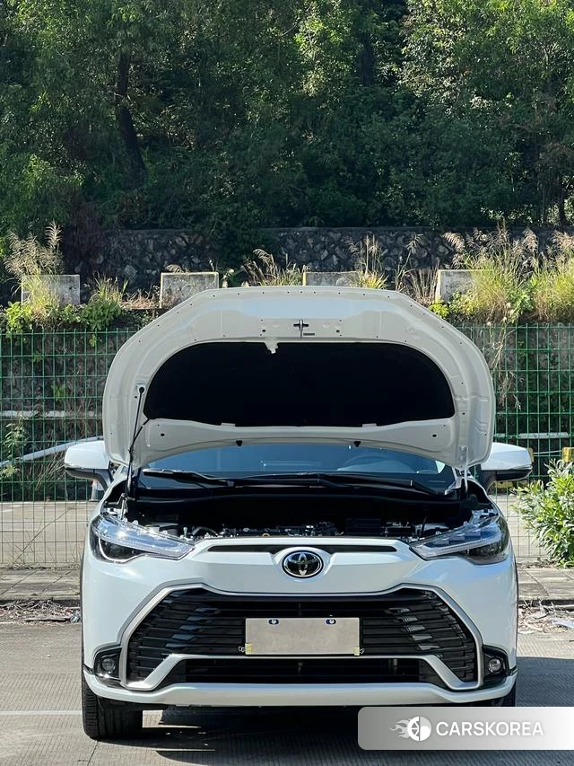 Toyota Fenglanda 2023 Белый из Китая