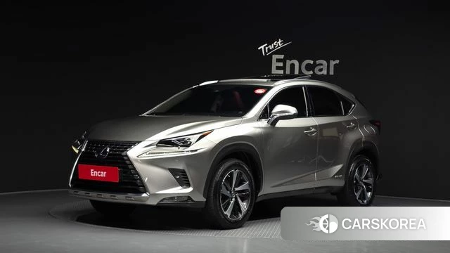 Lexus NX300h 2021 Серый из Кореи