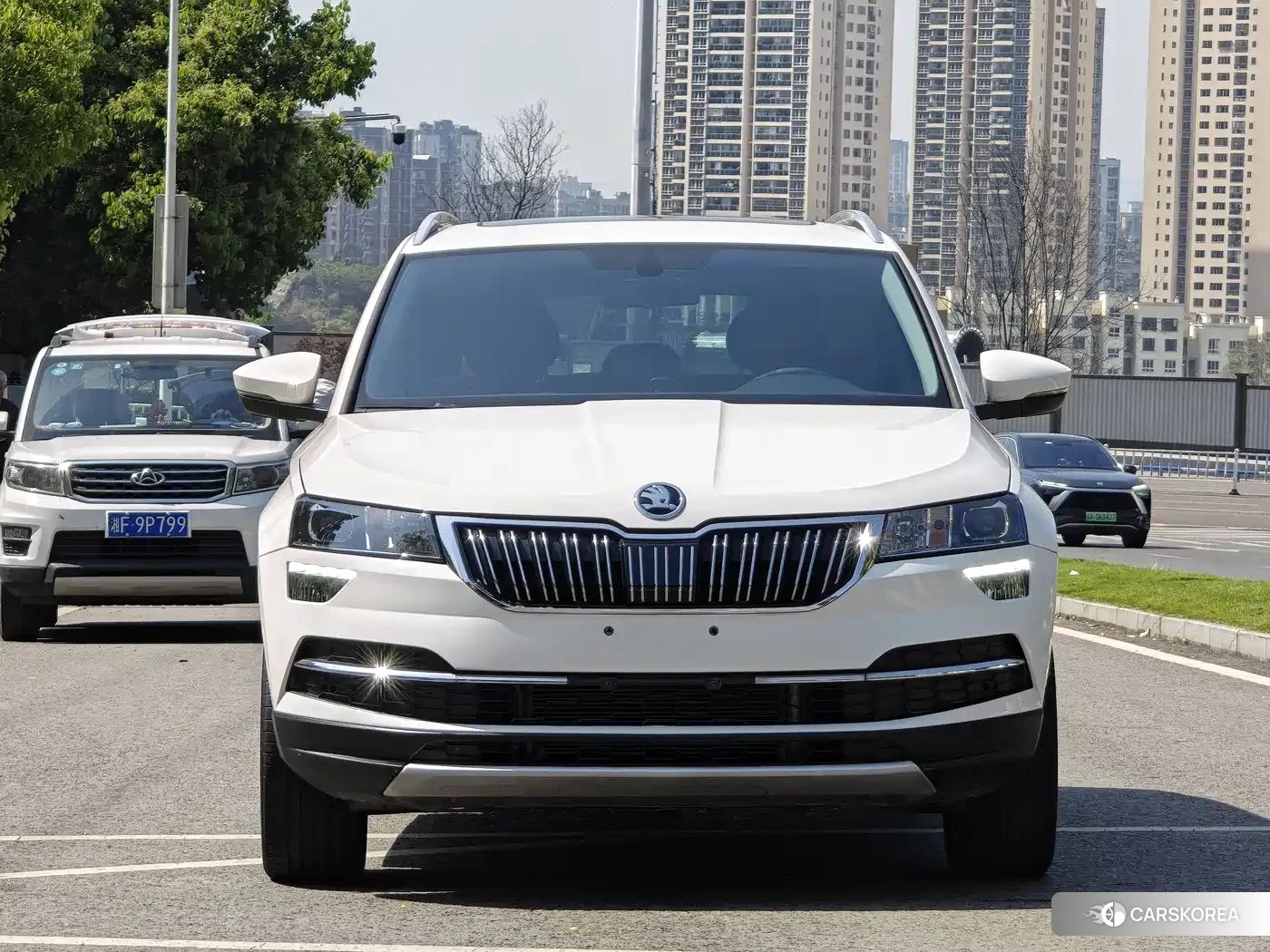 Skoda Karoq 2018 Белый из Китая