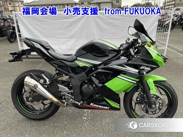 Проданный Kawasaki NINJA 250SL 2015 из Японии