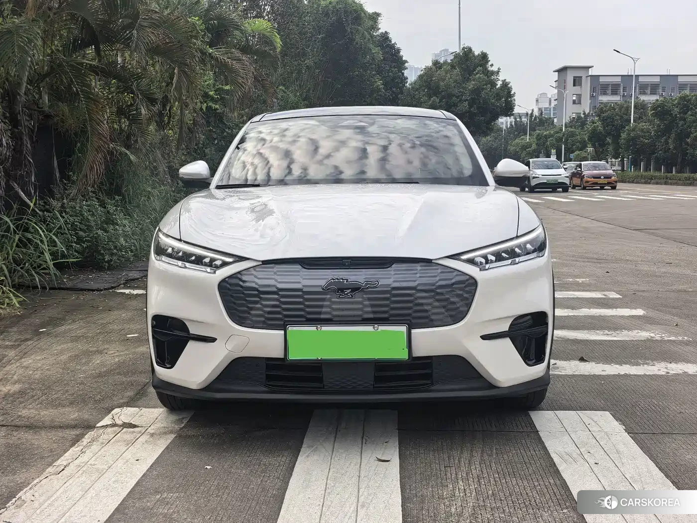 Ford Electric horse 2023 Белый из Китая
