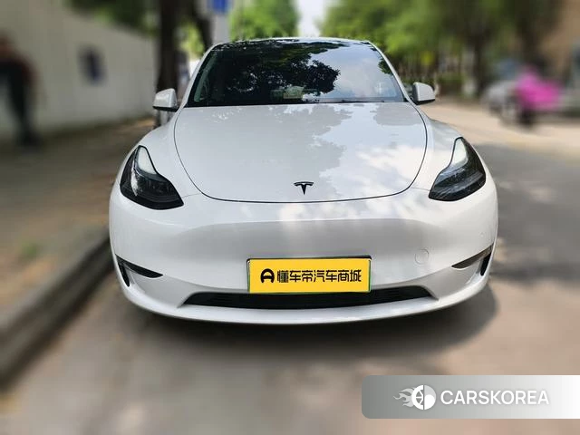 Tesla Model Y 2023 Белый из Китая