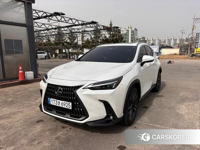 Lexus NX350h Second generation 2024 Белый из Кореи