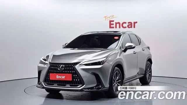 Lexus NX450h + 2nd generation 2023 Серый из Кореи