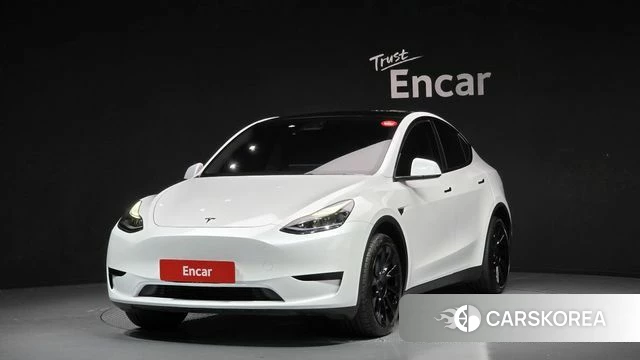 Tesla Model Y 2023 Белый из Кореи