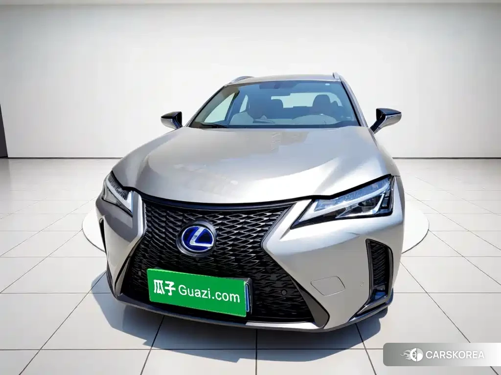 Lexus UX 2019 Silver/gray из Китая