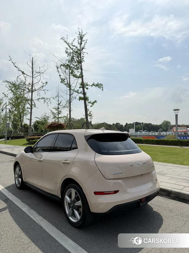 Euler Good cat 2023 Другой из Китая