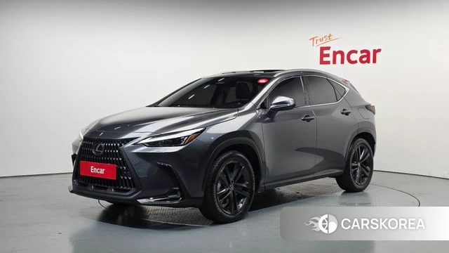 Lexus NX350h Second generation 2024 Серый из Кореи