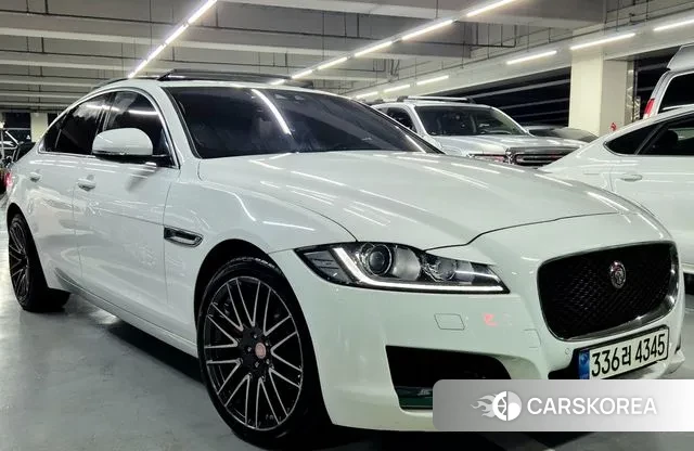 Jaguar XF (X260) 2018 Белый из Кореи