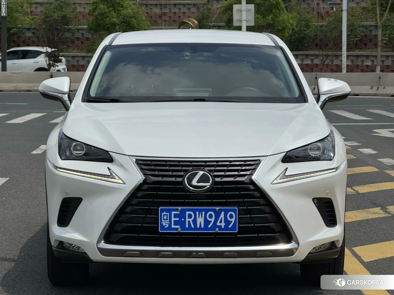 Lexus NX 2019 Белый из Китая