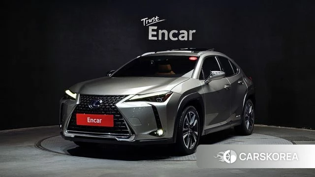 Lexus UX250h 2019 Серебристо-серый из Кореи
