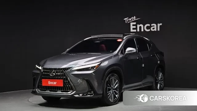 Lexus NX350h Second generation 2024 Серый из Кореи