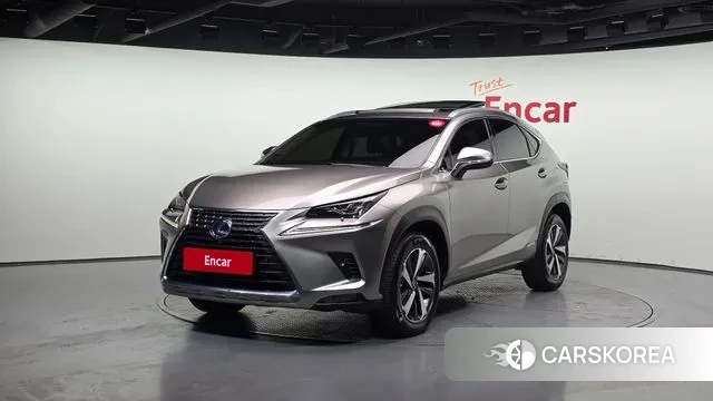Lexus NX300h 2018 Серебристо-серый из Кореи