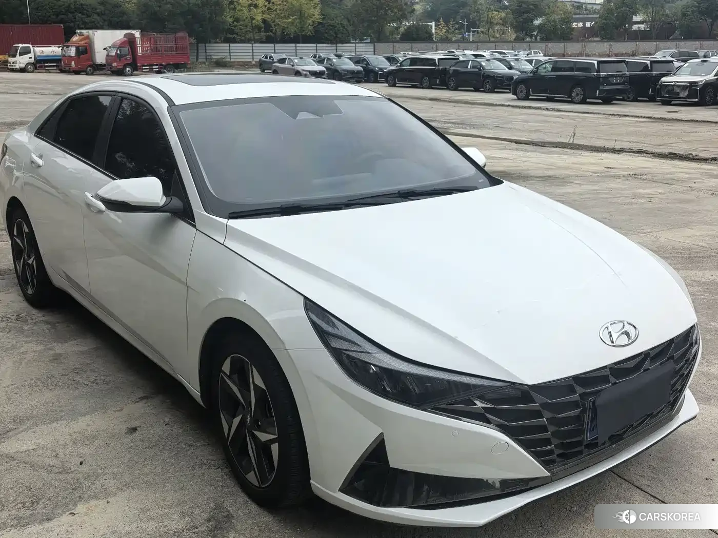 Hyundai Elantra 2023 Белый из Китая