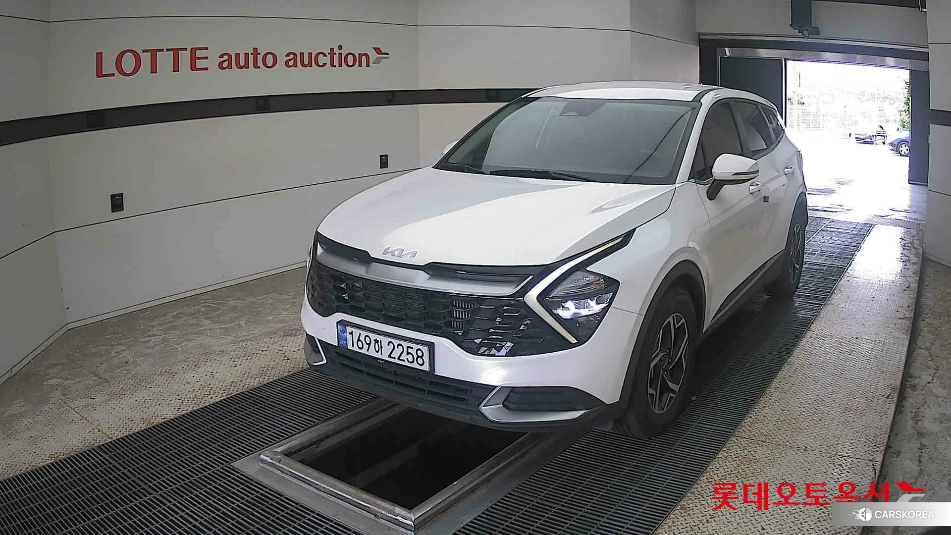 Kia Sportage 2022 Snow White Pearl (optional) из Кореи