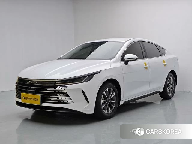 BYD Destroyer 05 2024 Белый из Китая