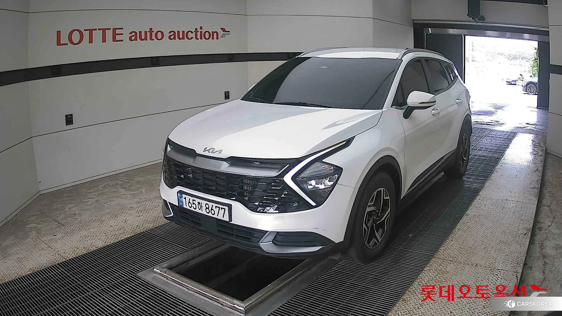 Kia Sportage 2022 Snow White Pearl (optional) из Кореи