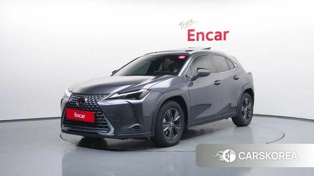 Lexus UX300h 2025 Серый из Кореи