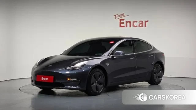 Tesla Model 3 2019 Серый из Кореи