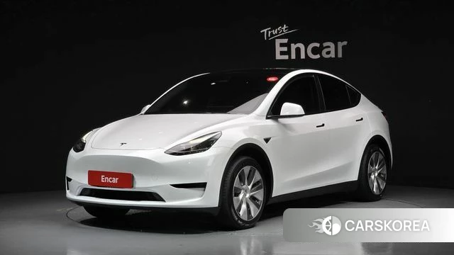 Tesla Model Y 2023 Белый из Кореи