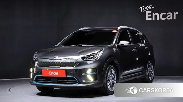 Kia Niro EV 2021 Серый из Кореи