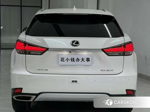 Lexus RX 2021 Белый из Китая