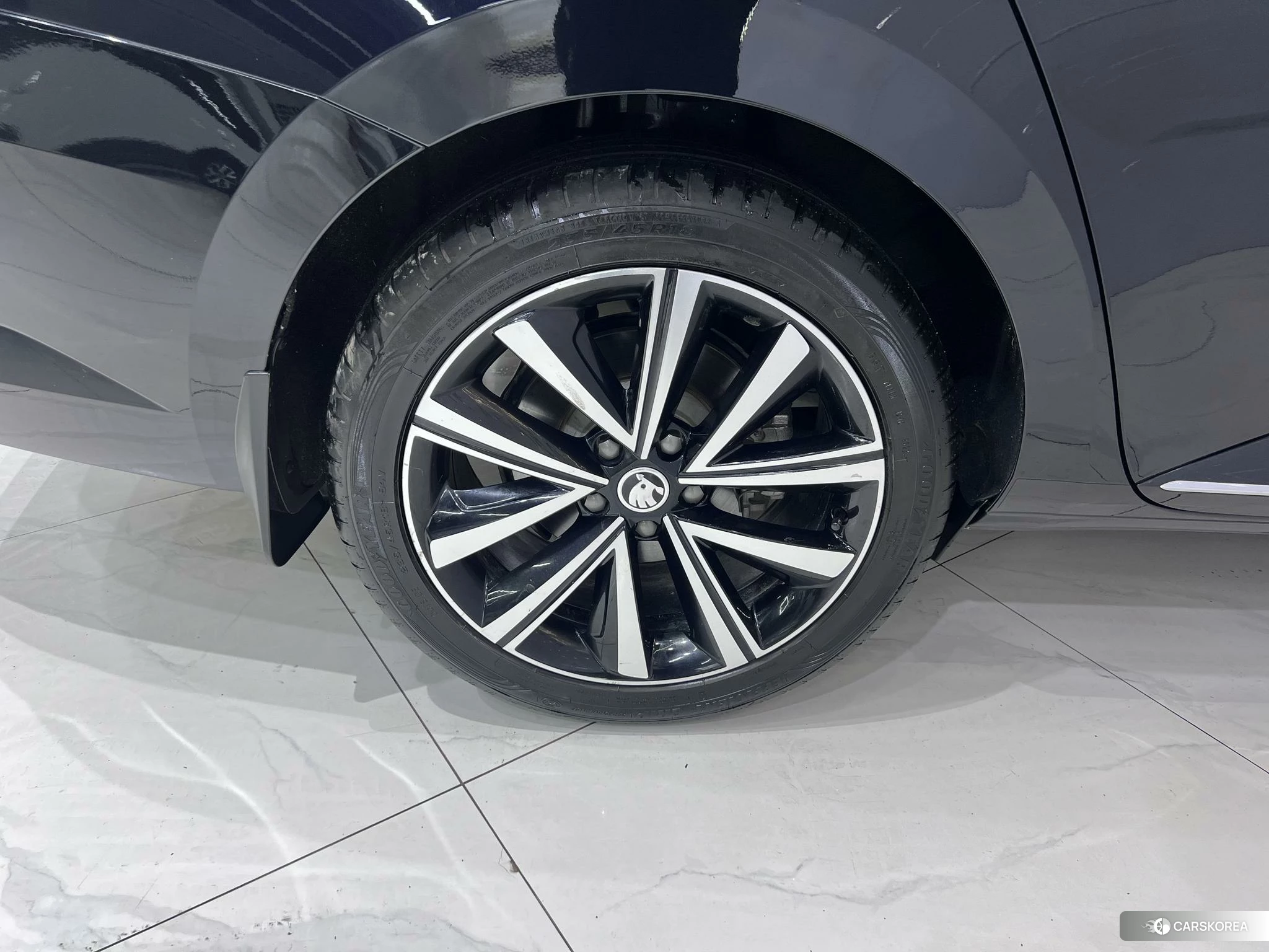 Skoda Speed pie 2022 Черный из Китая