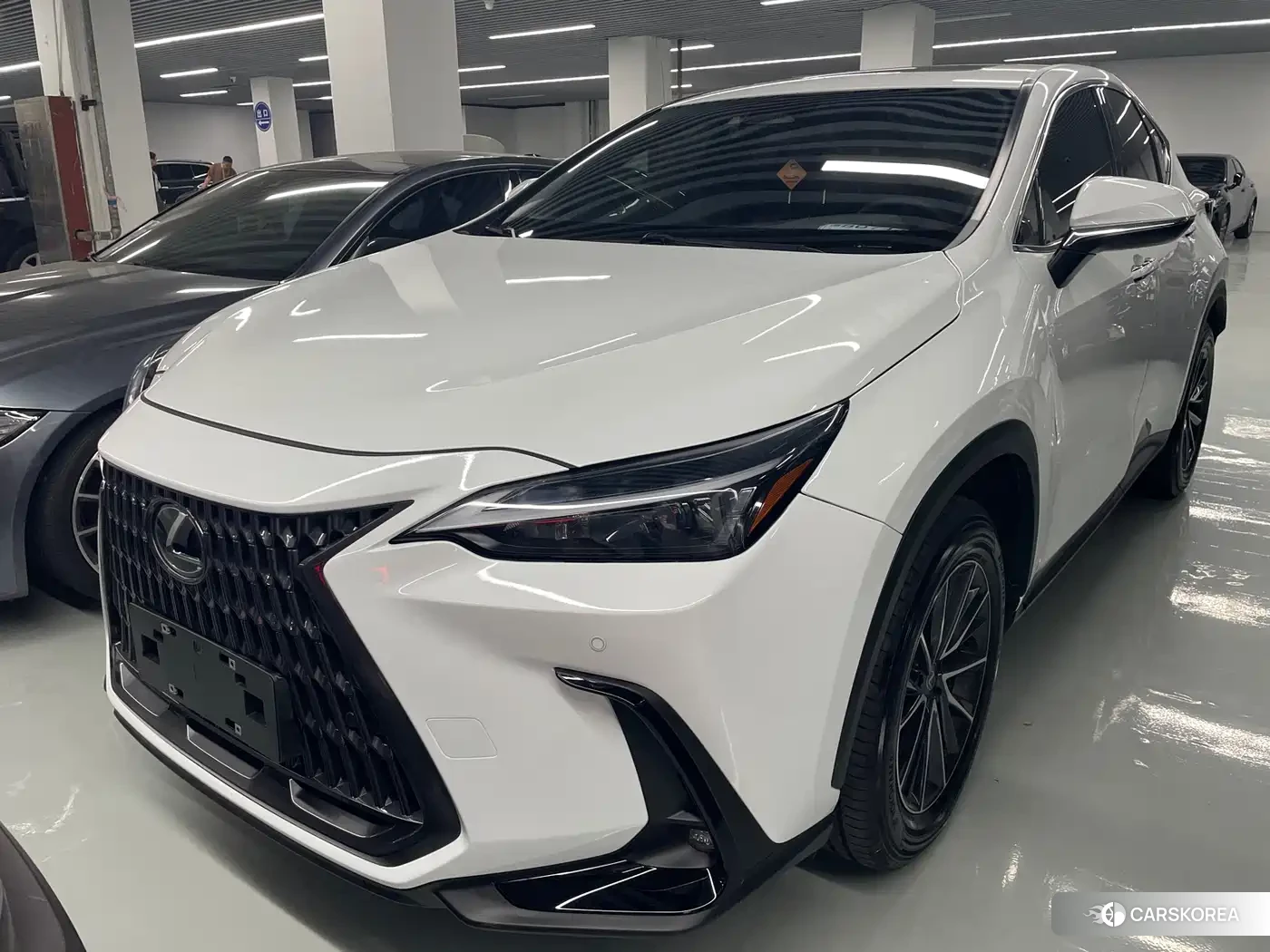 Lexus NX 2026 Белый из Китая