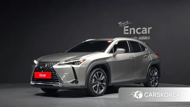 Lexus UX250h 2022 Серебристо-серый из Кореи